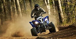 Used Powersports Vehicles for sale in Bridgeport, WV